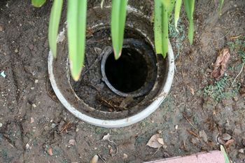 Credible Kent Real Estate Septic Inspection in WA near 98030