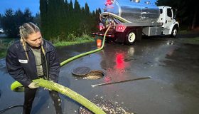 Grease-Trap Grease-Trap