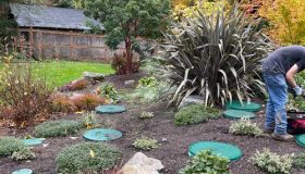 Septic-Tank-System-Maintenance Septic-Tank-System-Maintenance